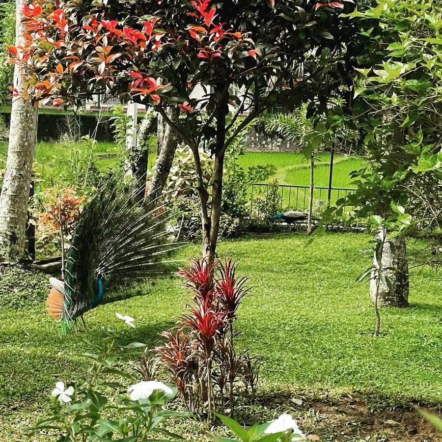 Surveyor'S Residence Bungalow Kandy Exterior photo